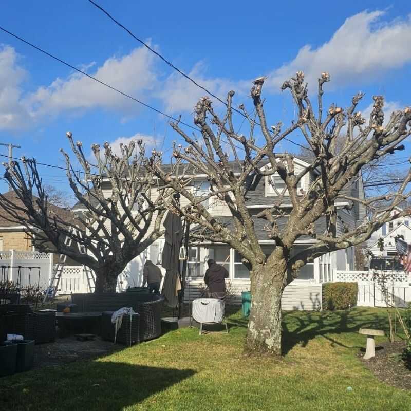 Specialist Landscaping Service in Monmouth, NJ-CVM Landscaping LLC (24)