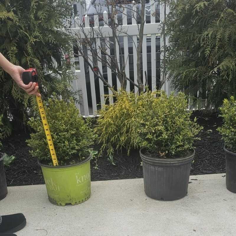 Specialist Landscaping Service in Monmouth, NJ-CVM Landscaping LLC (30)